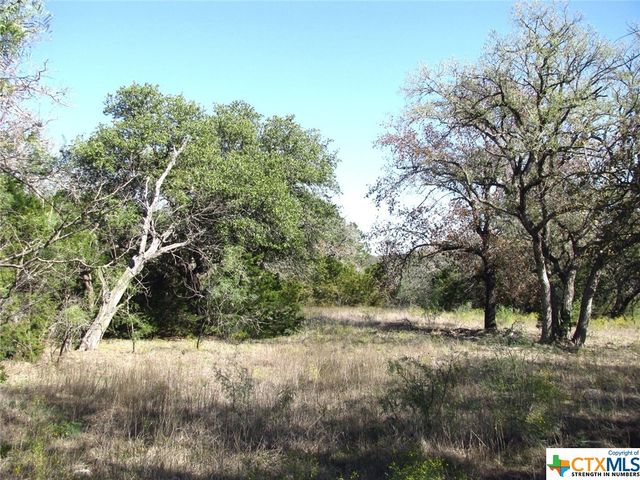 Lot 14 Phase 3 Private Road 42112, Evant, TX 76525
