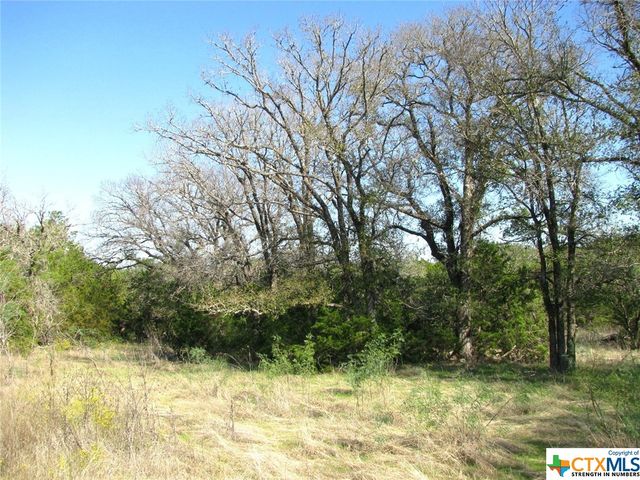 Lot 14 Phase 3 Private Road 42112, Evant, TX 76525