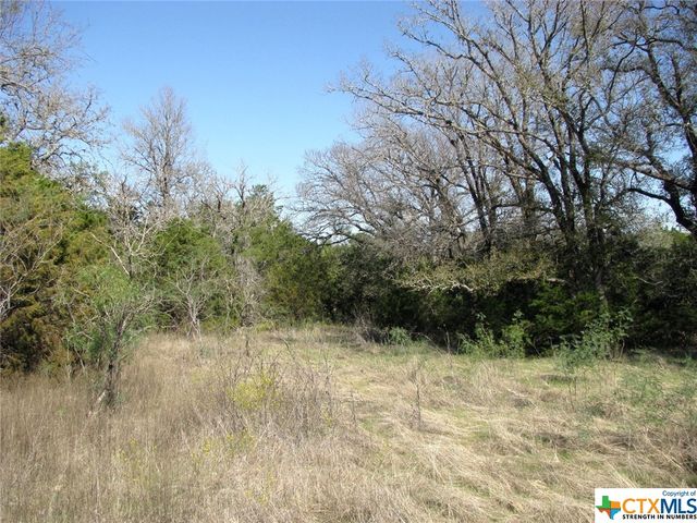 Lot 14 Phase 3 Private Road 42112, Evant, TX 76525