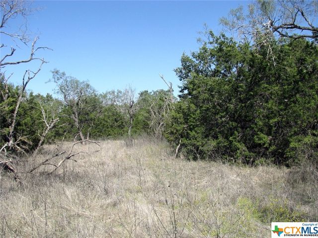 Lot 14 Phase 3 Private Road 42112, Evant, TX 76525