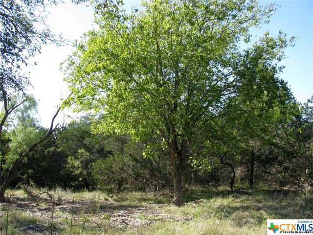 Lot 14 Phase 3 Private Road 42112, Evant, TX 76525