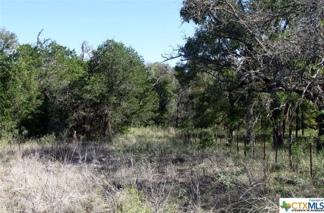 Lot 14 Phase 3 Private Road 42112, Evant, TX 76525