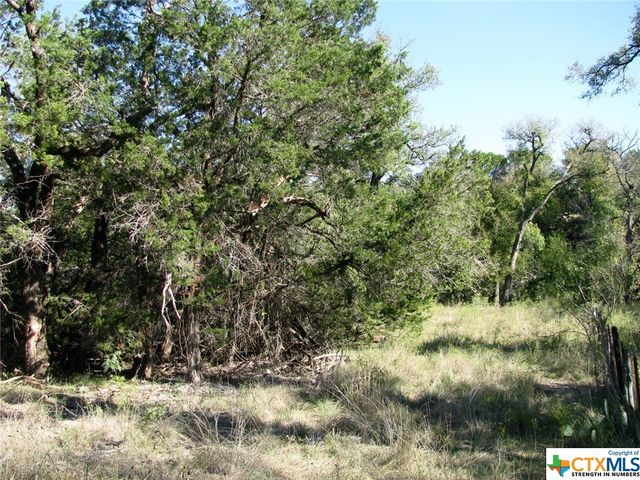 Lot 14 Phase 3 Private Road 42112, Evant, TX 76525