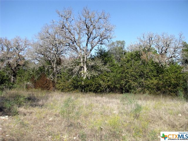 Lot 14 Phase 3 Private Road 42112, Evant, TX 76525