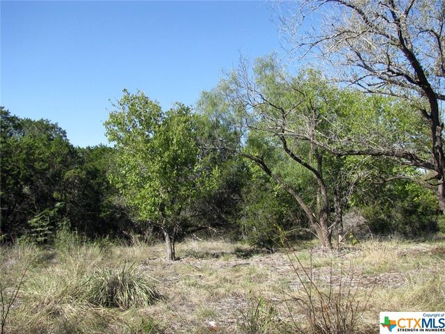 Lot 14 Phase 3 Private Road 42112, Evant, TX 76525
