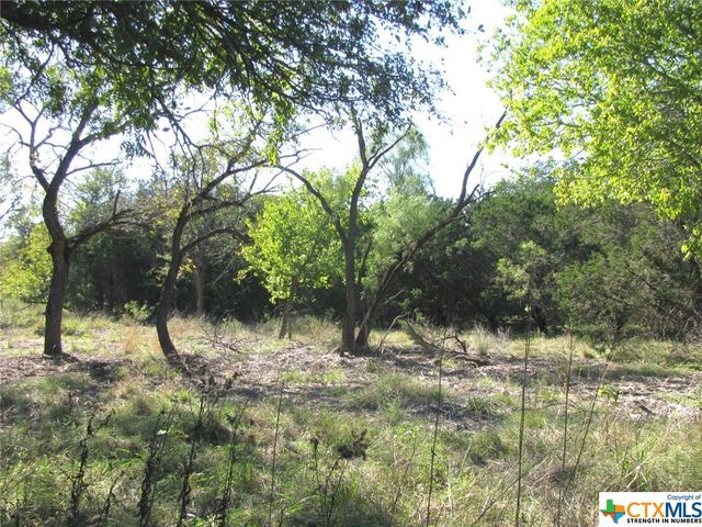 Lot 14 Phase 3 Private Road 42112, Evant, TX 76525