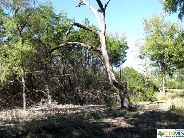 Lot 14 Phase 3 Private Road 42112, Evant, TX 76525