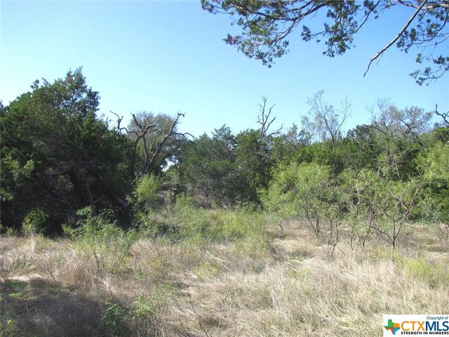 Lot 14 Phase 3 Private Road 42112, Evant, TX 76525