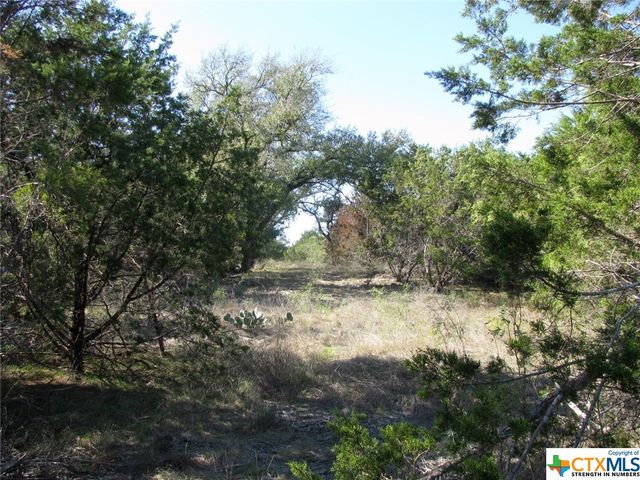 Lot 14 Phase 3 Private Road 42112, Evant, TX 76525