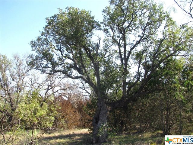 Lot 14 Phase 3 Private Road 42112, Evant, TX 76525