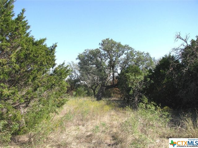 Lot 14 Phase 3 Private Road 42112, Evant, TX 76525