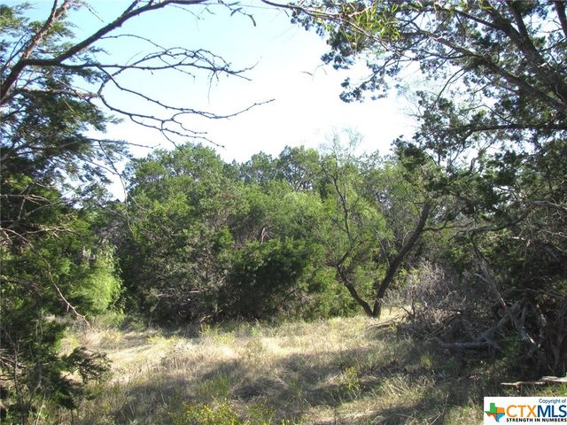 Lot 14 Phase 3 Private Road 42112, Evant, TX 76525