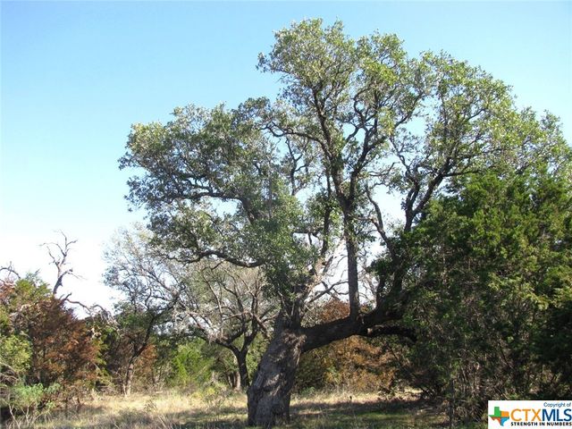 Lot 14 Phase 3 Private Road 42112, Evant, TX 76525