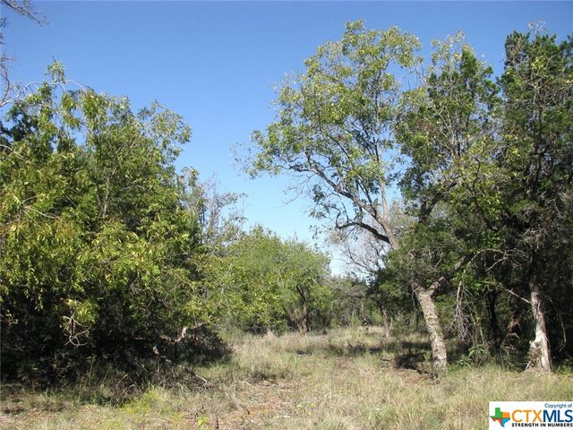 Lot 14 Phase 3 Private Road 42112, Evant, TX 76525