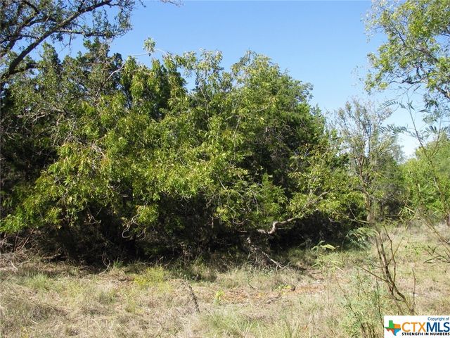 Lot 14 Phase 3 Private Road 42112, Evant, TX 76525