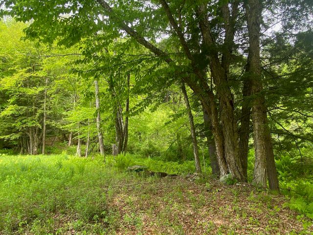 1254 US Route 5, Weathersfield, VT 05156