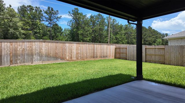 16189 Sepia Manor Street, Conroe, TX 77302