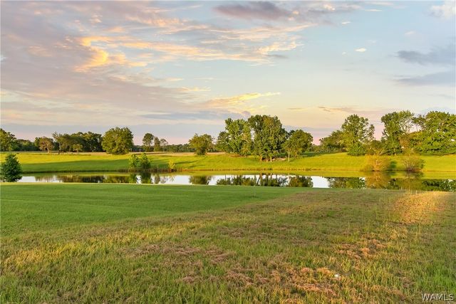 11146 Hilltop loop, Northport, AL 35475