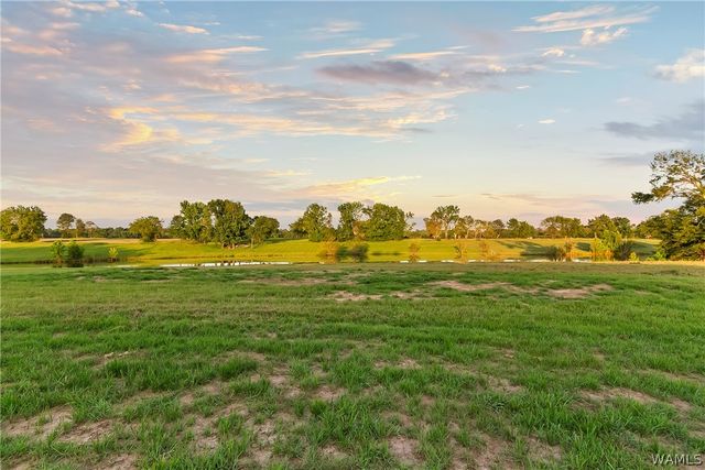 11146 Hilltop loop, Northport, AL 35475