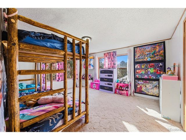 627 Harmon Dr, Cotopaxi, CO 81223