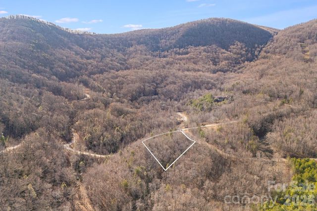 2049 W Deep Gap Farm Road, Mill Spring, NC 28756
