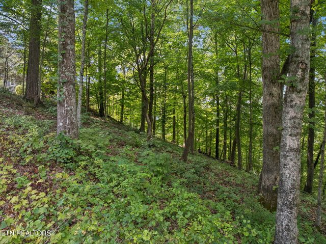 Lot 228 -River Bend Drive, Kingston, TN 37763