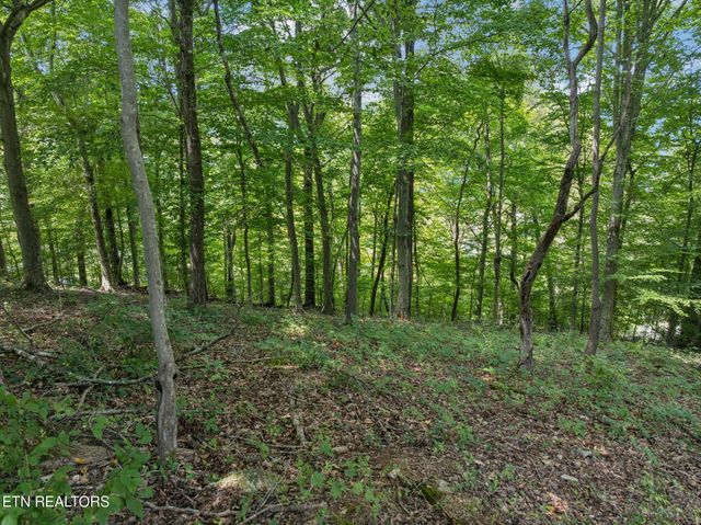 Lot 228 -River Bend Drive, Kingston, TN 37763