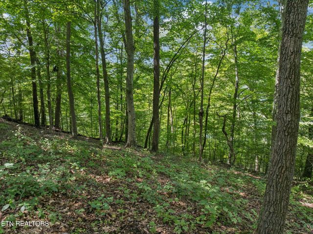 Lot 228 -River Bend Drive, Kingston, TN 37763
