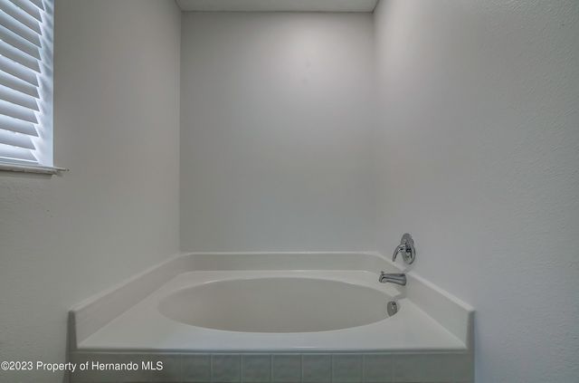 6322 Grapewood Road, Spring Hill, FL 34609