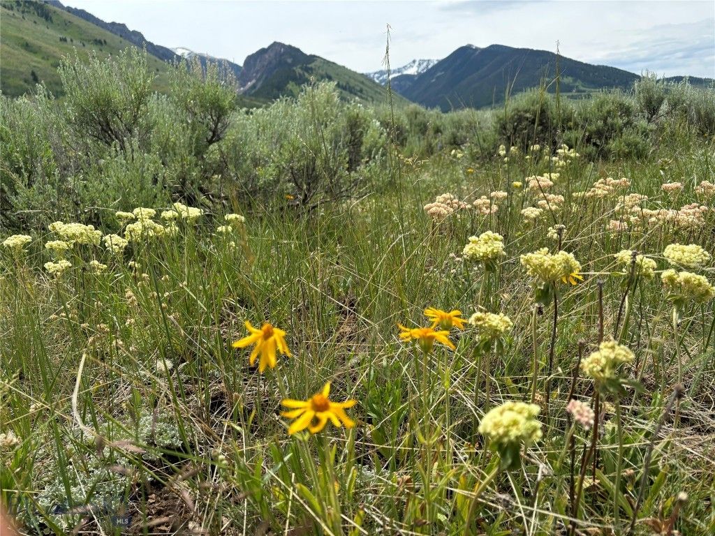 Tract 2 COS 7/2697FC - 7 acres in Sec 23, T12S, R02E, Cameron, MT 59720 photo 5