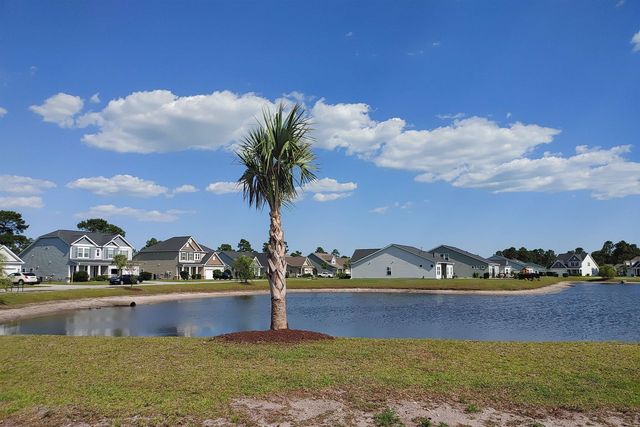 249 Astoria Park Loop, Conway, SC 29526