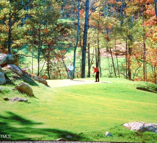 72 Brown Bear, Chapel Hill, NC 27517