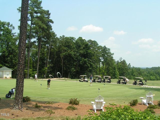 72 Brown Bear, Chapel Hill, NC 27517