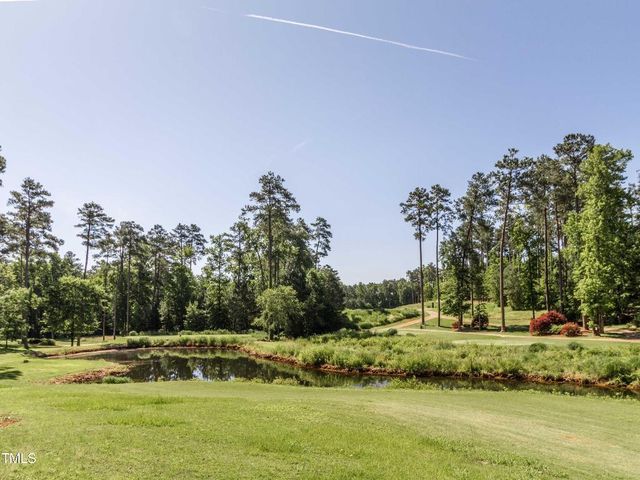 72 Brown Bear, Chapel Hill, NC 27517