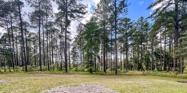 1005 Youngs Road, Vass, NC 28394