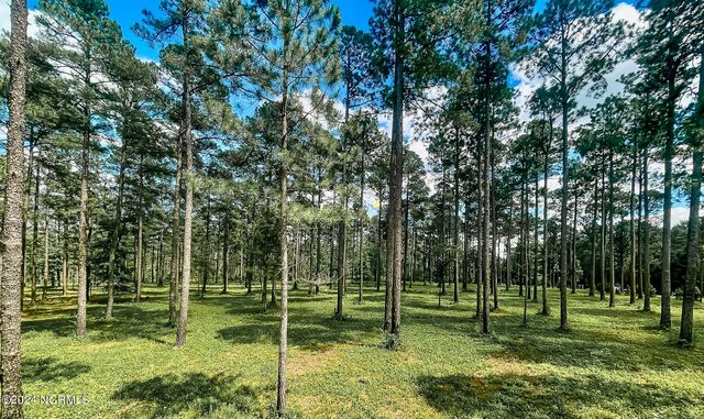 1005 Youngs Road, Vass, NC 28394