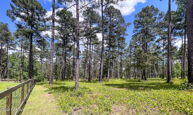 1005 Youngs Road, Vass, NC 28394