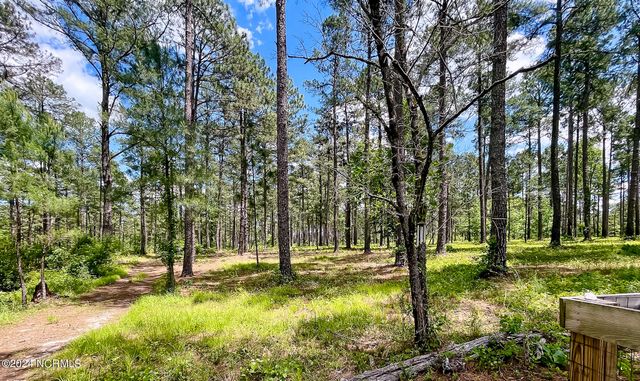 1005 Youngs Road, Vass, NC 28394