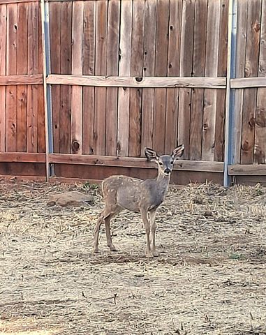 9322-9318 Mosquito Rd, Placerville, CA 95667