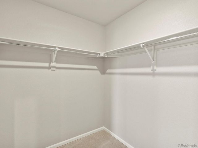 1596 Riverplace Drive 3, Windsor, CO 80550