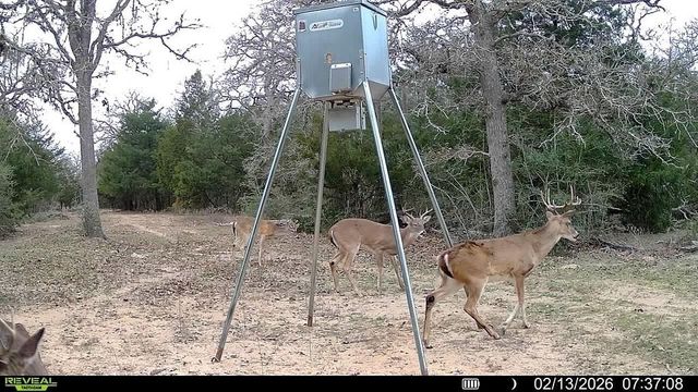 TBD County Road 132, Hallettsville, TX 77964