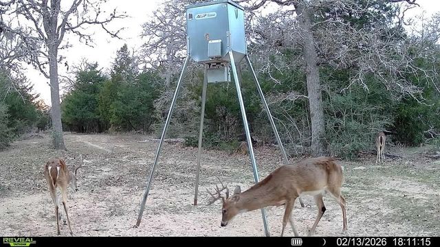 TBD County Road 132, Hallettsville, TX 77964