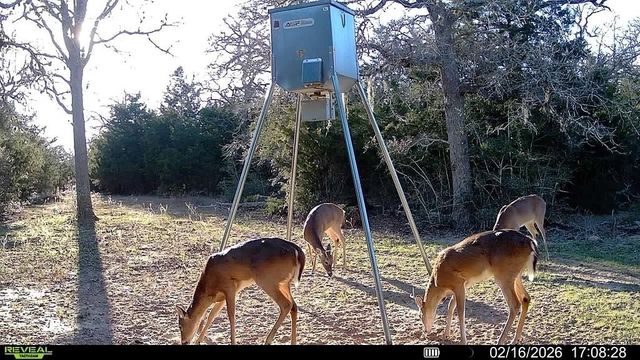 TBD County Road 132, Hallettsville, TX 77964