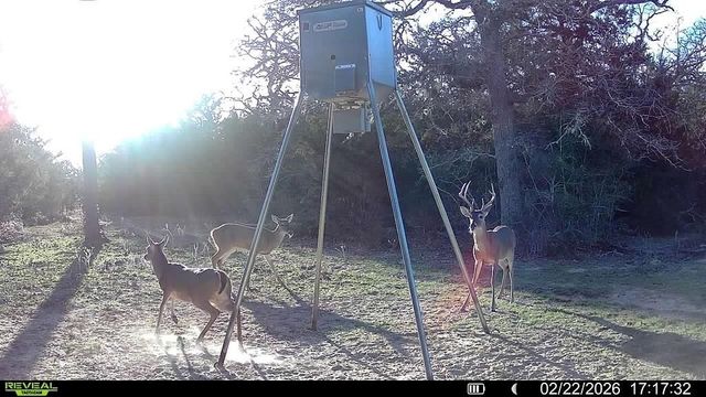 TBD County Road 132, Hallettsville, TX 77964