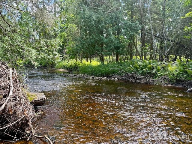 5935 Brampton 27.5 Road, Gladstone, MI 49837