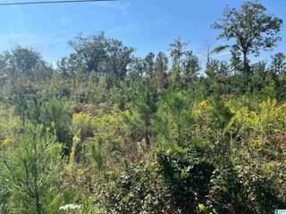 0 SHORE DRIVE, Ashville, AL 35953