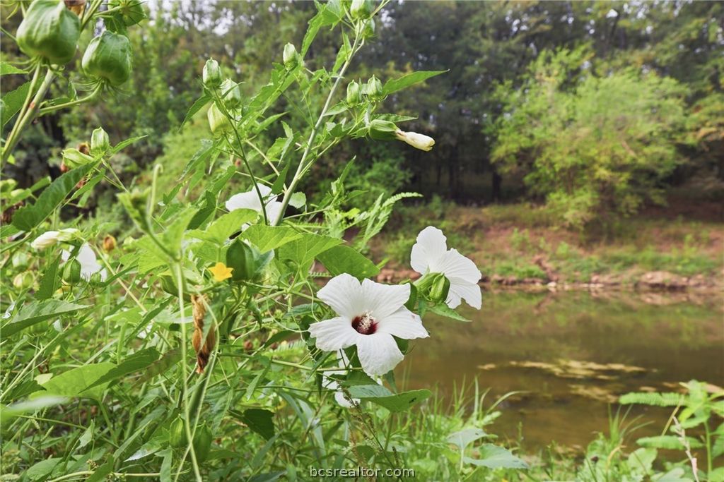 10825 West State Highway 21, Bryan, TX 77807 — photo 4