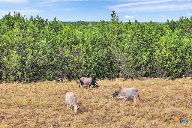 1413 Lonesome Bird, Burnet, TX 78611