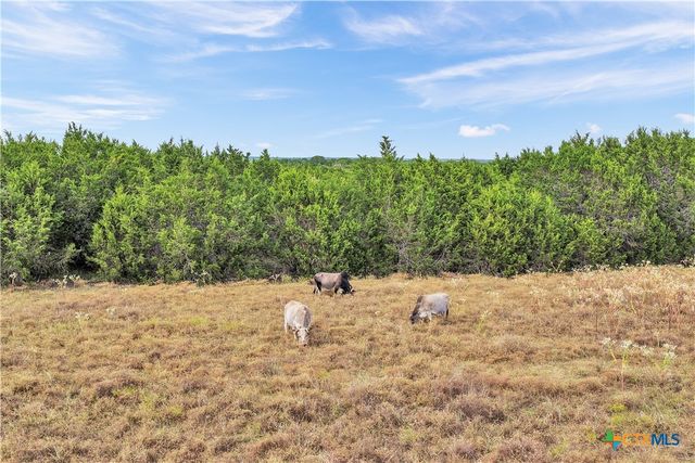 1413 Lonesome Bird, Burnet, TX 78611