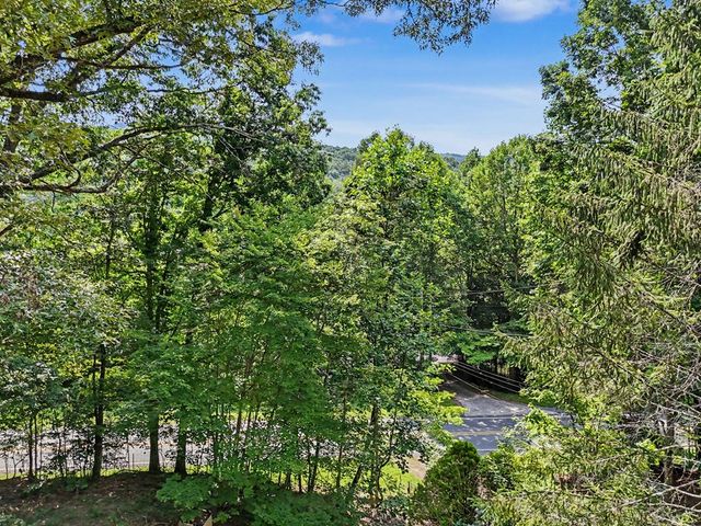 3477 Salem Road, Mineral Bluff, GA 30559